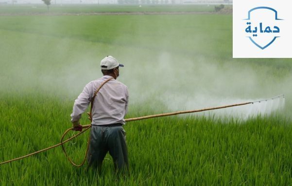 كيفية استخدام المبيدات الحشرية ورشها