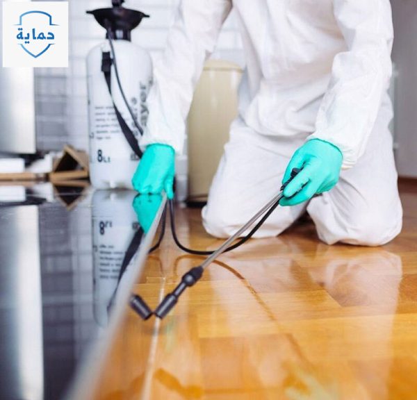 شركة مكافحة حشرات في أم سقيم