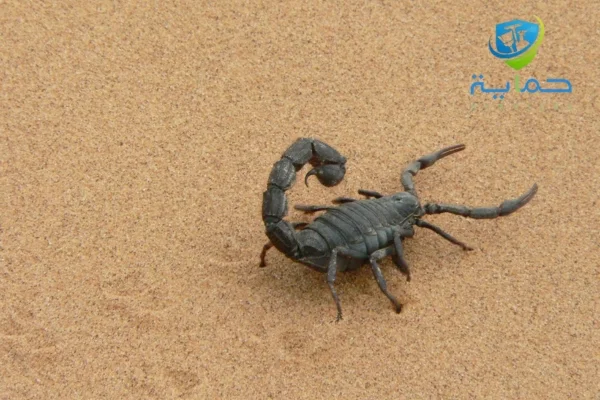 شركة مكافحة الثعابين والعقارب في خورفكان