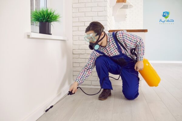 شركة رش المنازل الجديدة للوقاية - اقرب شركة مكافحة حشرات دبي