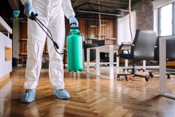 أنواع الحشرات الشائعة في المكاتب