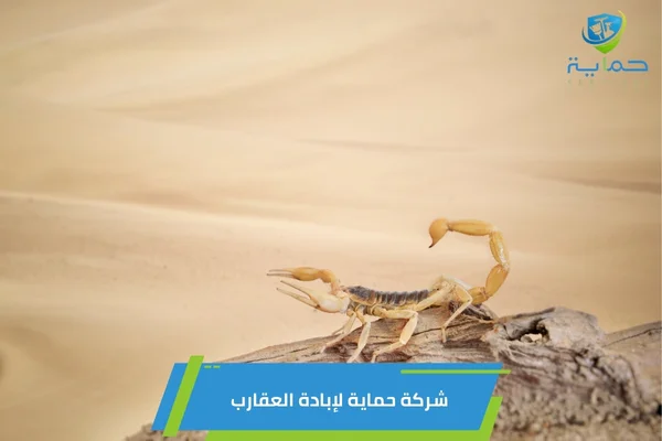 إبادة العقارب في مدينة زايد