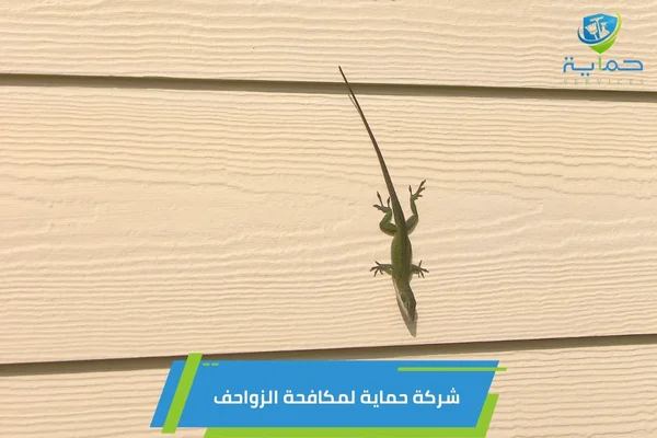 شركة مكافحة زواحف في الوثبة