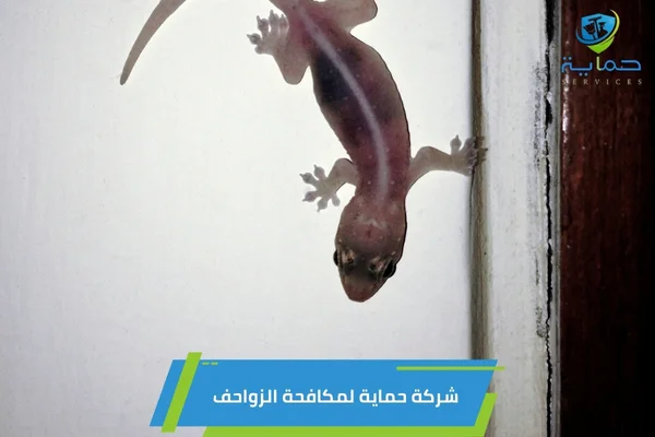 شركة مكافحة زواحف في الوثبة