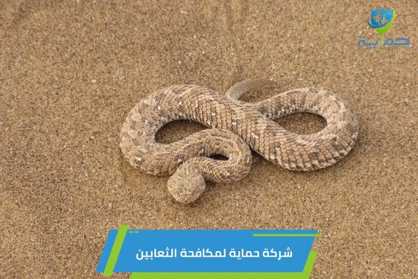 مكافحة الثعابين في الشهامة