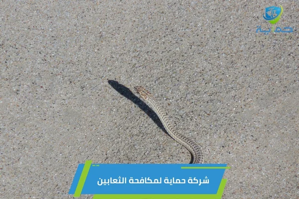 مكافحة الثعابين في بني ياس