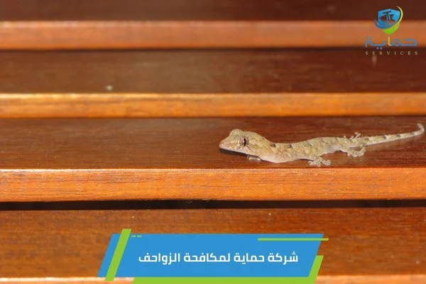 شركة مكافحة زواحف في الوثبة