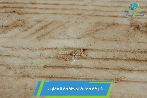إبادة العقارب في المناطق الصحراوية بدبي