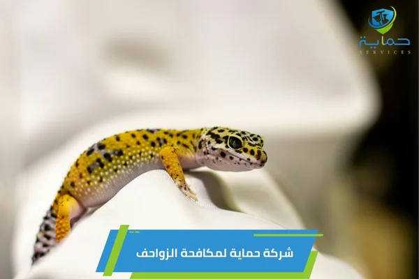 شركة مكافحة الزواحف في الورقاء