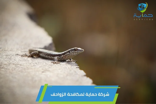 مكافحة الزواحف في الليسيلي