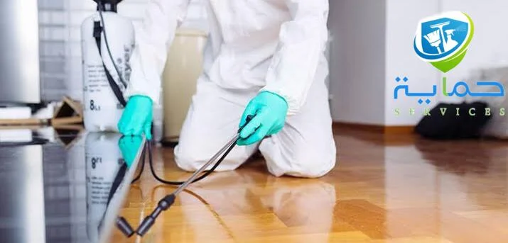 شركة رش المبيدات الحشرية بالشارقة