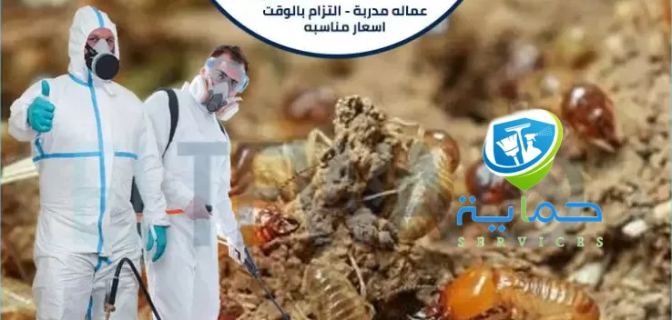 شركة مكافحة النمل الابيض في المنطقة الغربية