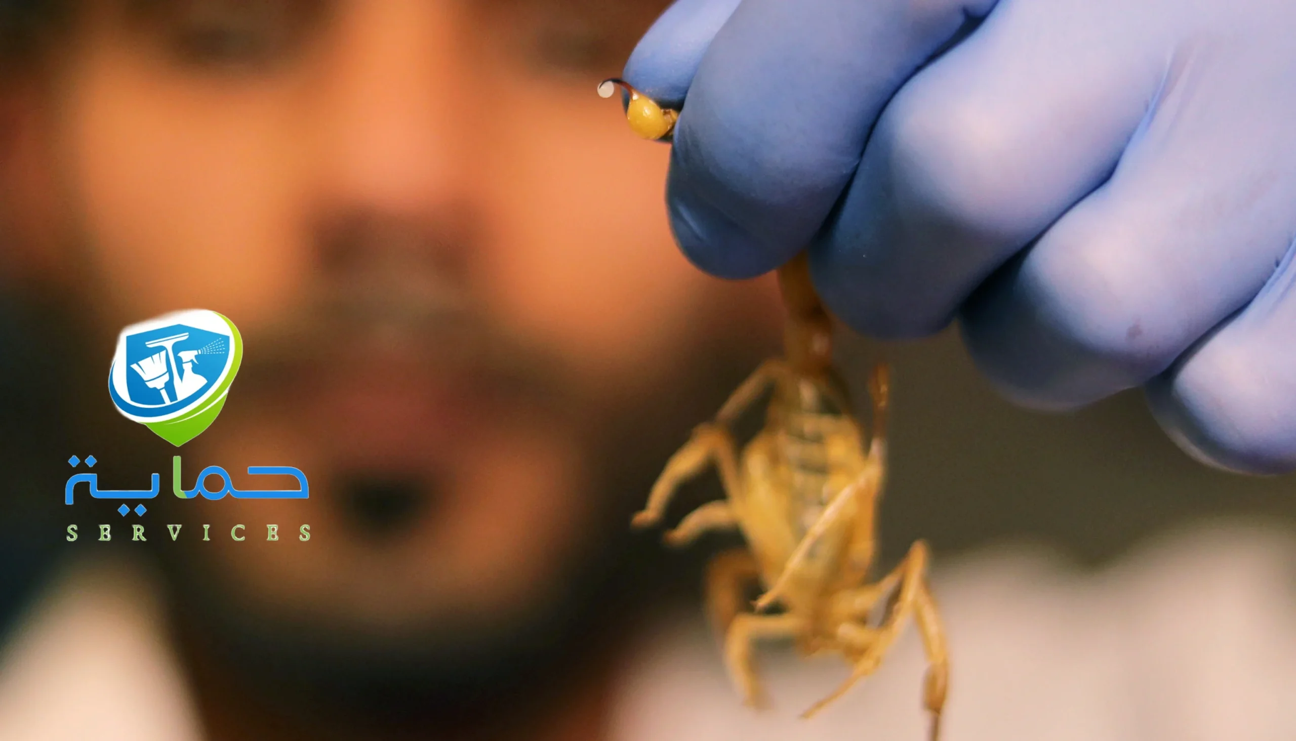 مكافحة الثعابين والعقارب في ضواحي الشارقة