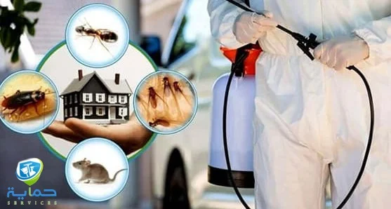 شركة مكافحة حشرات بني ياس