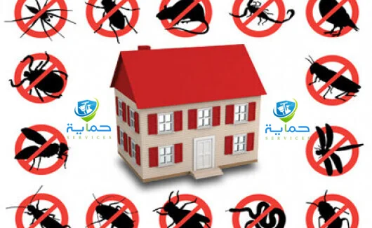 شركة مكافحة حشرات بني ياس