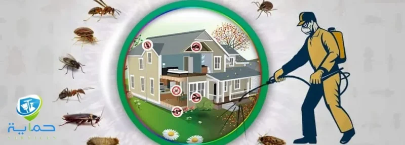 شركة مكافحة حشرات بني ياس - خدمة متاحة 24/7