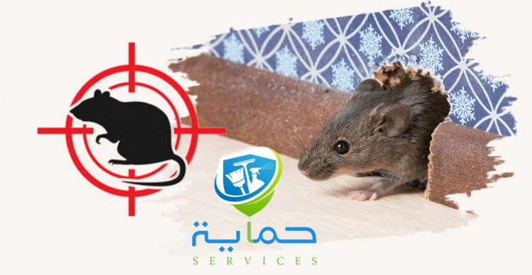 مكافحة الزواحف في جبل جيس