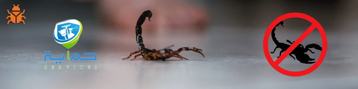 مكافحة العقارب في الزيد