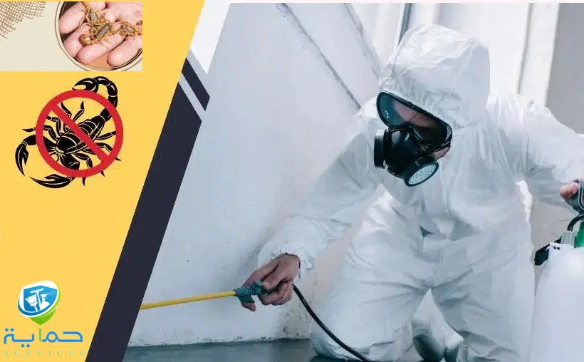 مكافحة العقارب في الزيد - ابادة فورية في 7 امارات