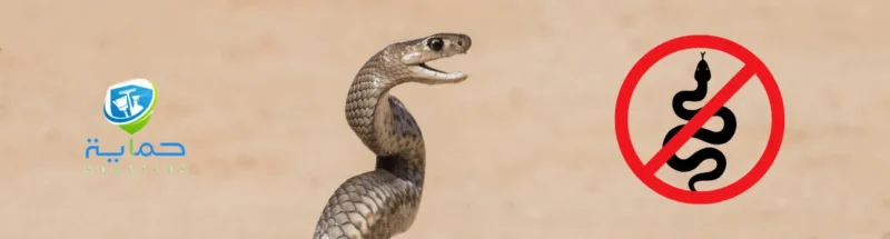 شركة مكافحة الأفاعي في المزارع في دبا - خدمات 24 ساعة
