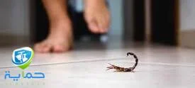 مكافحة الثعابين والعقارب في ضواحي الشارقة - والـ 7 امارات