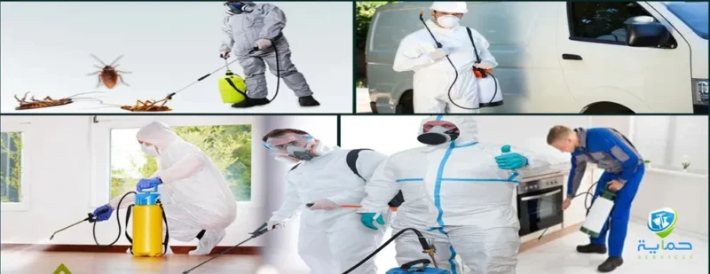 شركة رش المبيدات الحشرية بالشارقة-خدمات علي مستوي الـ7امارات