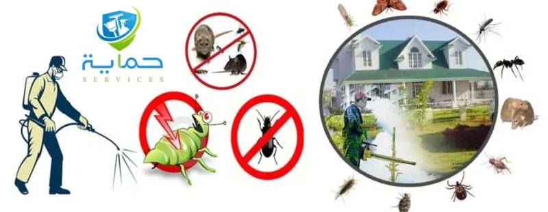 شركة رش صراصير في دبي - خدمات الابادة في 7 امارات