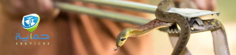 مكافحة الثعابين في المناطق الجبلية الفجيرة - خدمات 24/7