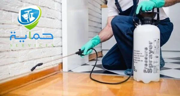 شركة مكافحة الزواحف الجبلية رأس الخيمة