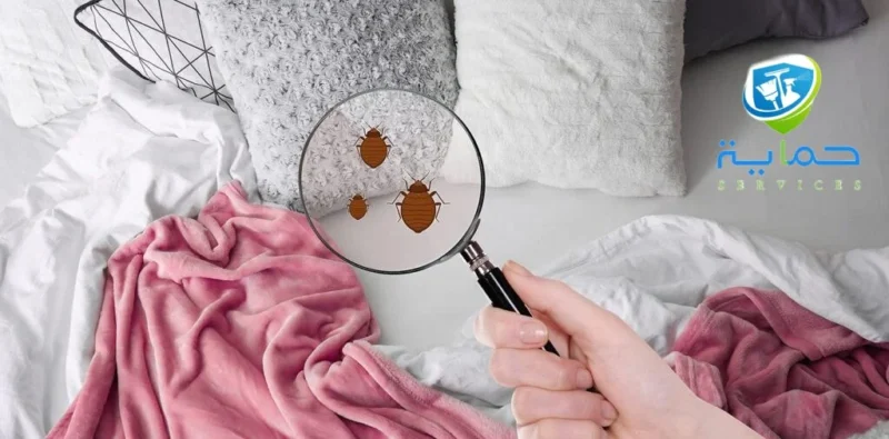 شركة مكافحة بق الفراش في أبو ظبي - خدمات علي مدار الـ 24 ساعة