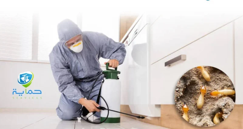 مكافحة الزواحف في السيجي - مبيدات امنة 100%